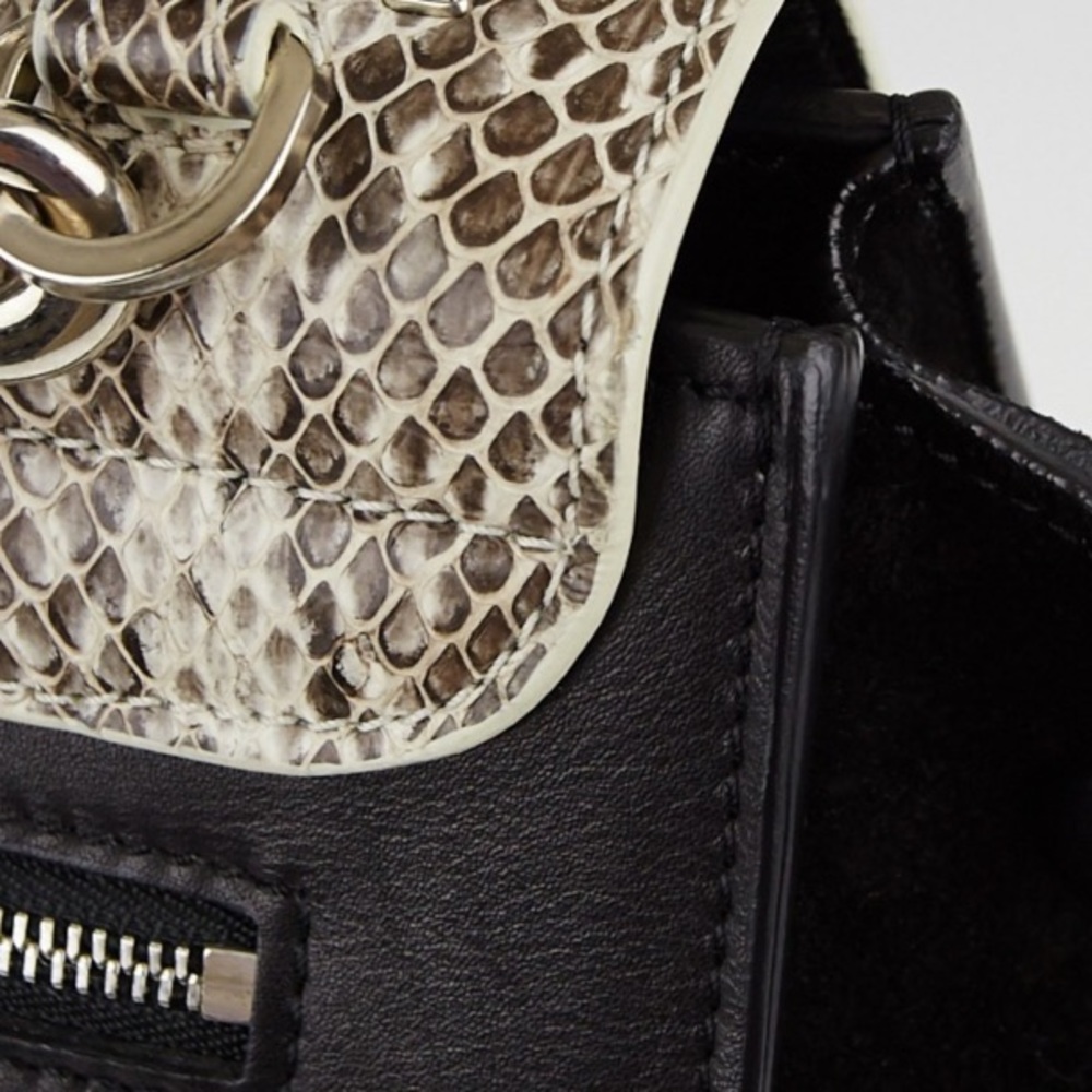 Celine Python Trapeze Bag - Picture 5 of 8